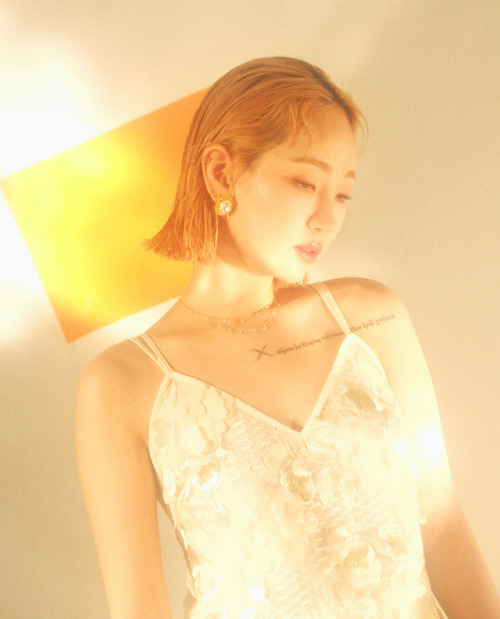 fy-wondergirls:HA:TFELT for Billboard