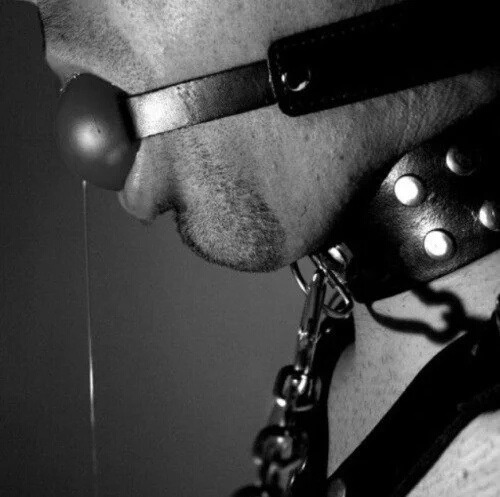 domme-ms:There’s no way out, slave…Domme wants to see you drooling! *