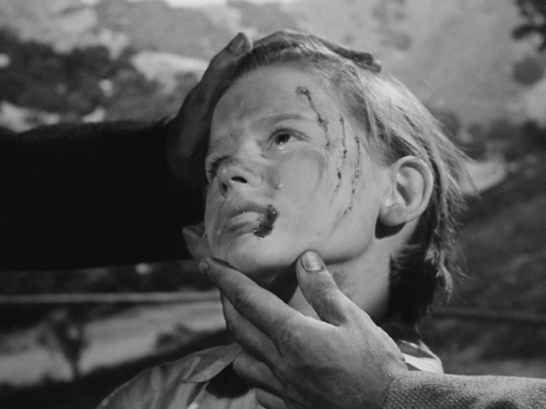 watchedby:How Green Was My Valley (1941)