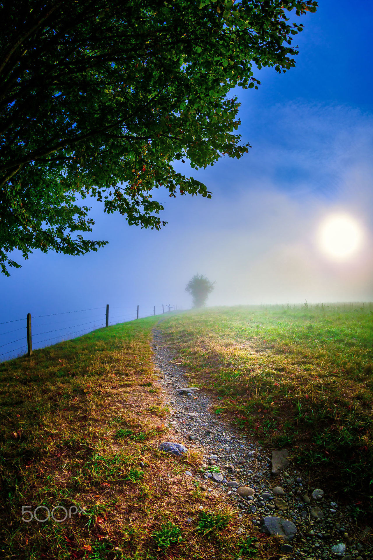 travelgurus:         Beautiful Morning from a park in Lenzburg, Switzerland by JOHN