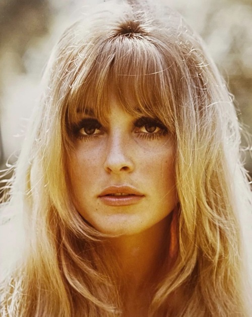 lily-laurent:  Sharon Tate photographed by