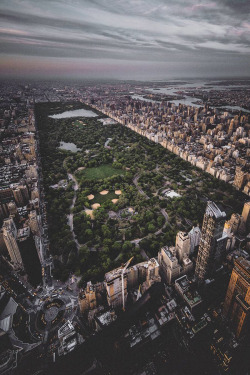 banshy:  Central Park // Ai Visuals  