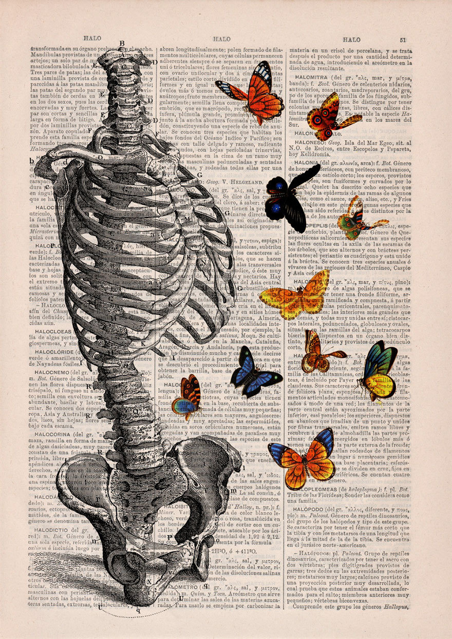 boredpanda:    Floral Anatomical Illustrations Breathe New Life Into Old Discarded