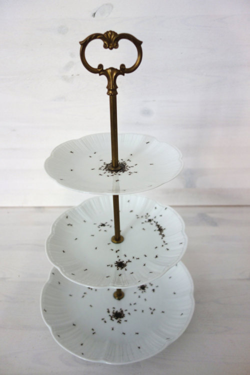 fer1972: More Vintage Porcelain with Handmade Painted Ants by LaPhilie