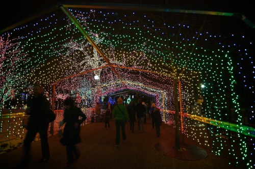 rainbow tunnel || lincoln park zoo, chicago