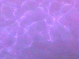 lanina-latina:purple water