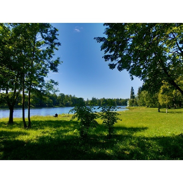 #Palace park, #Gatchina,  #Russia #travel 🌍   yesterday&rsquo;s #landscape