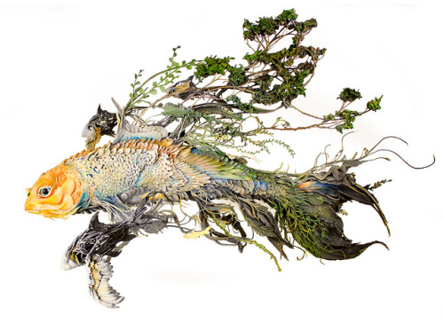 itscolossal:Ornate Birds and Sea Creatures Spring to Life with Environmental Embellishments of Flowe