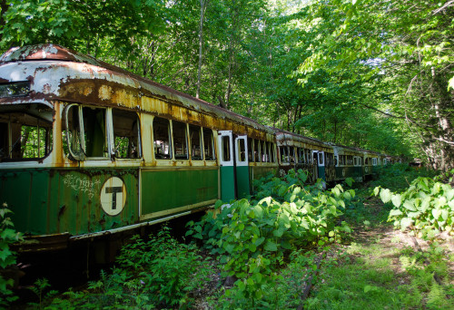 deelaundry: themagnafarta: is this the e line into-the-weeds, the train is a bit rusty but sill fine