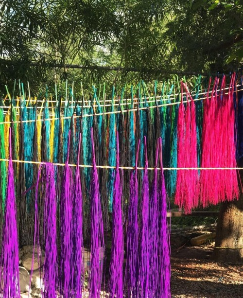 De colores, jipijapa en Bécal #campeche #becal #jipijapa #fibrasnaturales (en Becal, Campeche