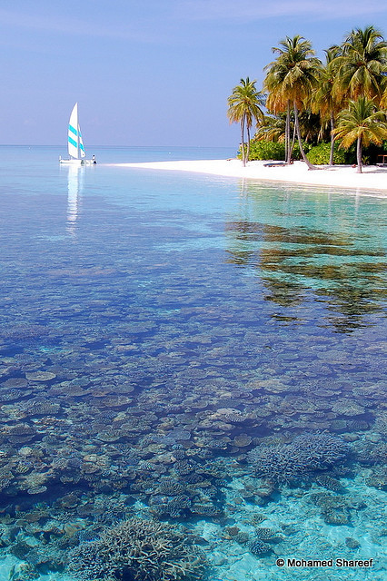 breathtakingdestinations:  Maldives - Asia (von Dhonfuthu)