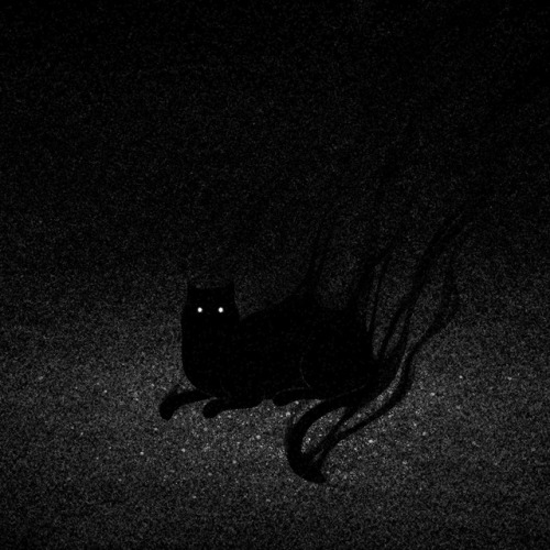 Drawlloween Day 7: Black Cat!