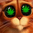 itsstonerkitty avatar