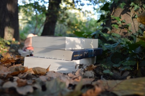 kat-from-minasmorgul:books in the park