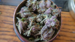 Dank Purps