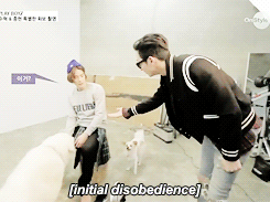  Soohyuk training his cute little puppy.    