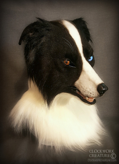Finally finished this border collie head! It will be up for auction starting tomorrow (Fri May 19)!