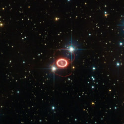cosmicvastness:    Supernova SN 1987A  Dominating this picture are two glowing loops of stellar material and a very bright ring surrounding the dying star at the centre of the frame. Although Hubble Space Telescope has provided important clues on the