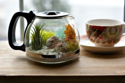 motleymakery:  Awesome Idea &amp; Tutorial from A Charming Project:Turn an old coffee urn into a terrarium!  If you don’t have one of these just lying around, they are quite easy to find at thrift stores, for next to nothing.