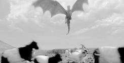 ariannsmartell:  Daenerys has taken up residence in Meereen. She has conquered the