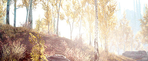 kaldwins-blog:Skyrim + Light/Vibrance/Topaz