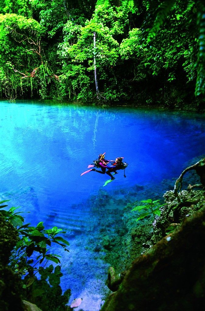 sixpenceee:Blue Holes in Espiritu Santo Island. They are located just west of Fiji.