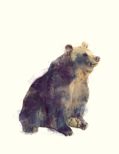 lohrien:  Illustrations by Amy Hamilton