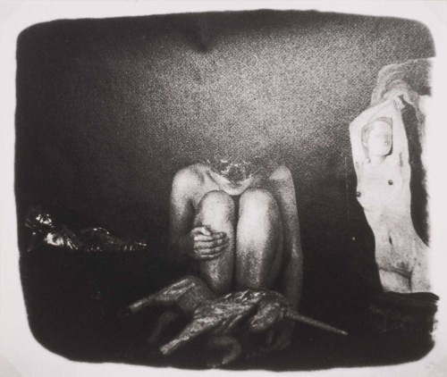 vivipiuomeno1:  China Hamilton ph. (b. 1946)
