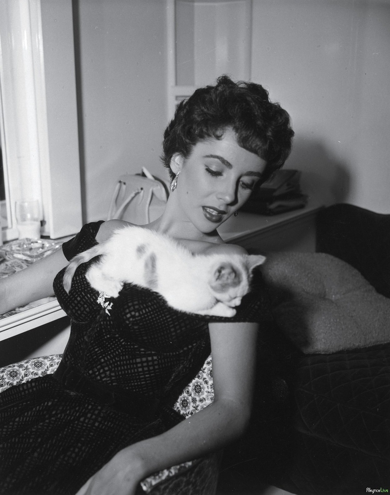 fewthistle:  Elizabeth Taylor and kitten. 1952. Photographer: Unknown (MGM publicity