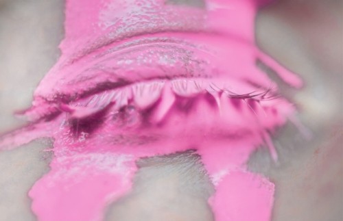 asylum-art-2:  Quirky Photography by Prue Stent  Prue Stent is a young  photographer based in Melbourne, Australia. Between azure and hot pink,  Pictures she captures are both quirky and poetic. Passionated about all  little singular details of women