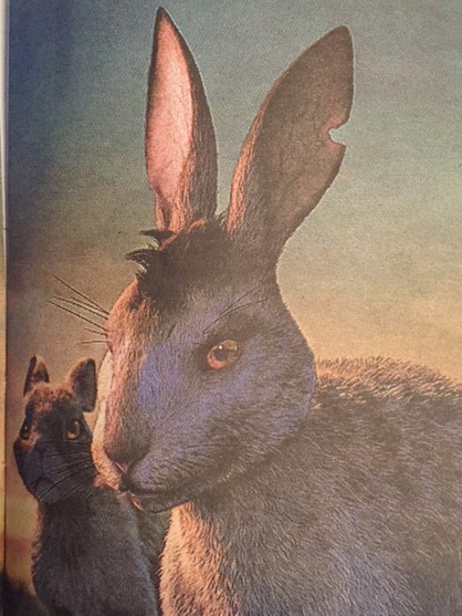 <p>Wonderful to watch the BBC adaptation of ‘Watership Down’ over Christmas.  It’s hard to believe it’s almost forty years since I read the book.  Such a fabulous book, written by Richard Adams. I’m so glad it was part of my reading heritage. As a writer I find the inspiring message is that the book was rejected seven times before a publisher took it on for a print run of 2,500 books. <br/></p>