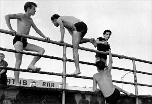 Coney Island Swim, 1959Brooklyn Gang; New YorkBruce Davidson