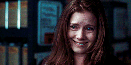 pariztexas:   Sunshine Cleaning (2008) dir. Christine Jeffs