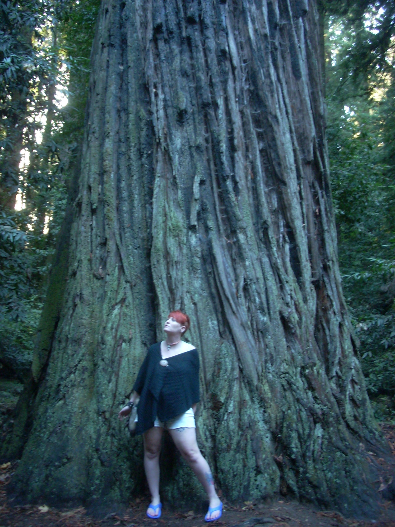 black-quadrant:  lil blogger big world