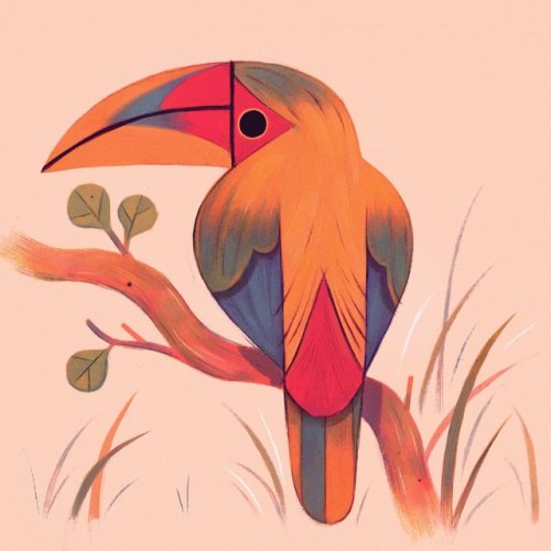 toucan 