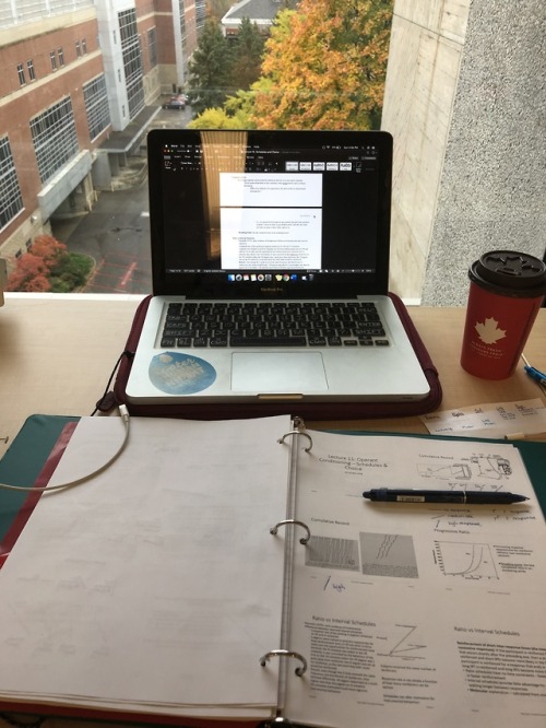 Rainy day studying at the library