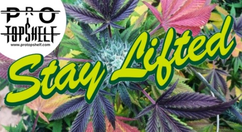 420pressnews:  We encourage all readers to share their views on our Cannabis articles and blog posts