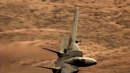 riidaroku:  F-14 