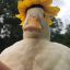 duckwuestionmark