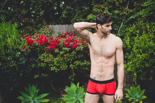 Chris Salvatore