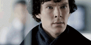 dudeufugly:  harleenquinzel1:  Tumblr is going to crash tomorrow and we all know which fandom to blame   