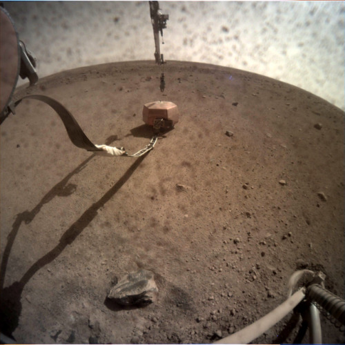 InSight: Sol 25 images are here, and it turns out that letting go of seismometers is an important go