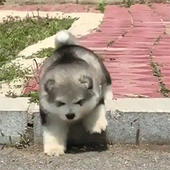 fluffygif:  Please… Help me ♥ 