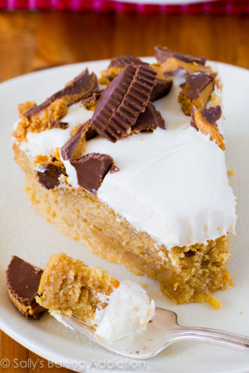 huffposttaste:  For National Eat Junk Food Day, put a Reese’s Peanut Butter Cup on it.