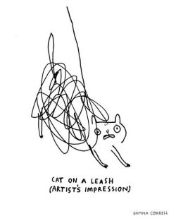 kittehkats:  cat on a lead (leash)  by gemma correll on Flickr  i concur.