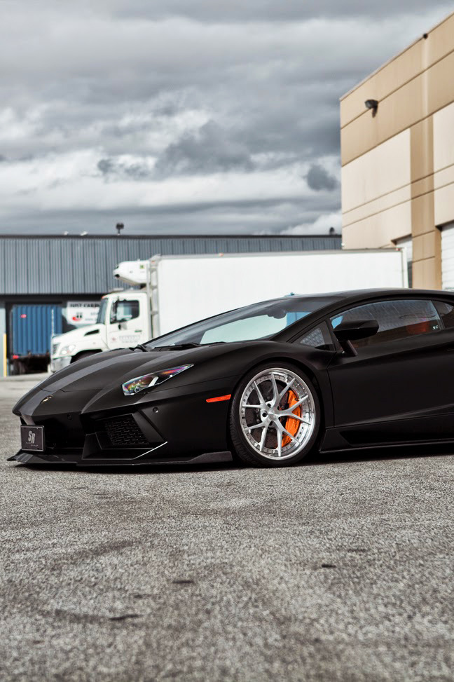 Matte Aventador | Photographer © | IG | AOI