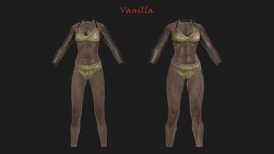 best skyrim female body mods