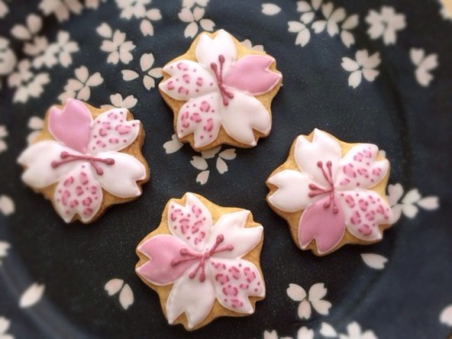 neo-japanesque:ヒョウ柄の桜のアイシングクッキー by sakura( ichigokingyo )japanese style icing cookie “cherry b