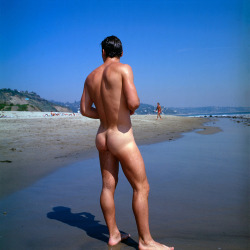 handsome males on the beach