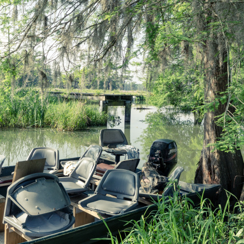 Deep South, Lake Martin (w/ Nobert Leblanc), Louisiana USA (2014)